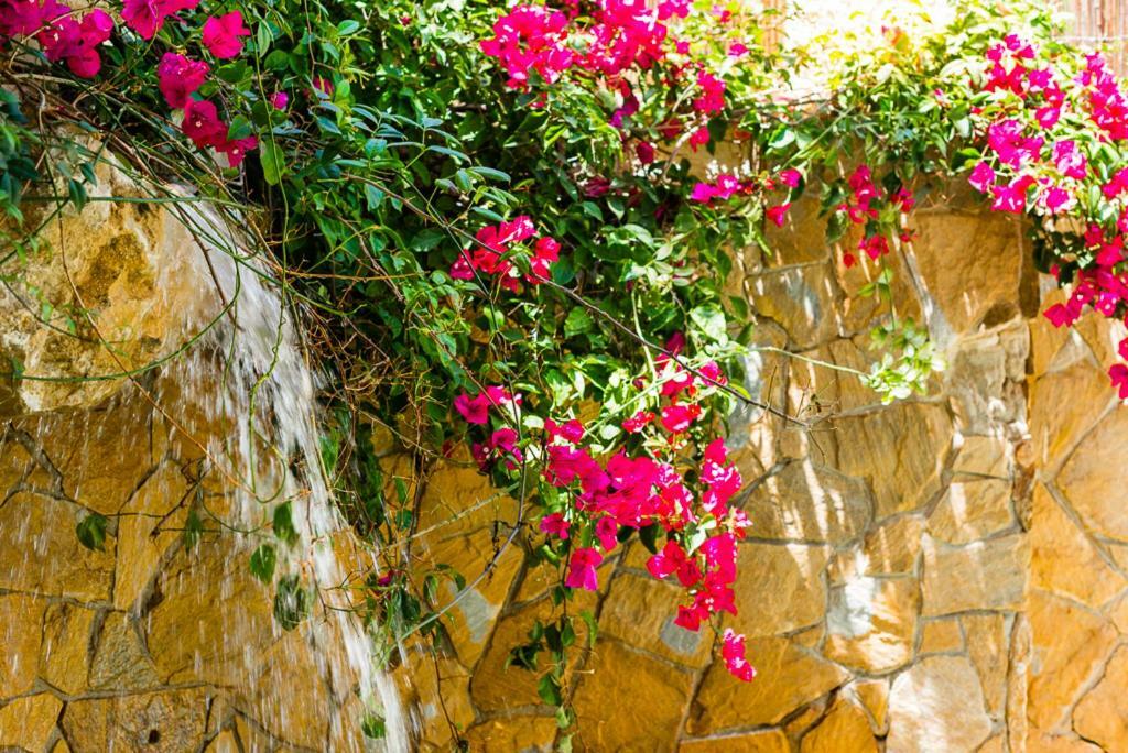 Bright Villa With Salt Water Pool El Campello Buitenkant foto